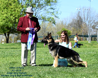 GSDC of Reno AM Show Winner's Dog and BOW Paragon's Spend Away