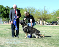 German Shepherd Dog Club of Southern Arizona  PM shows
