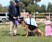 American Bred Dog # 9 Handheims Legend of the Past Winners Dog Best of Winners