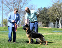Diablo Valley German Shepherd Dog Club, Inc.April 2, 2023 AM Show Judge Mr Randy Darnell