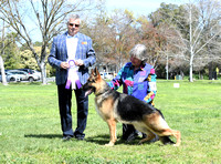 German Shepherd Dog Club of Sacramento Valley, Inc. Sat. PM Show Judge Michel Chaloux
