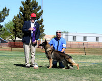 American Bred Dog # 27 Winners Dog Triphills Isosceles Diesel of Independence