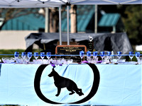 German Shepherd Dog Club of Sacramento Valley, Inc AM Show Judge Ellie Carson